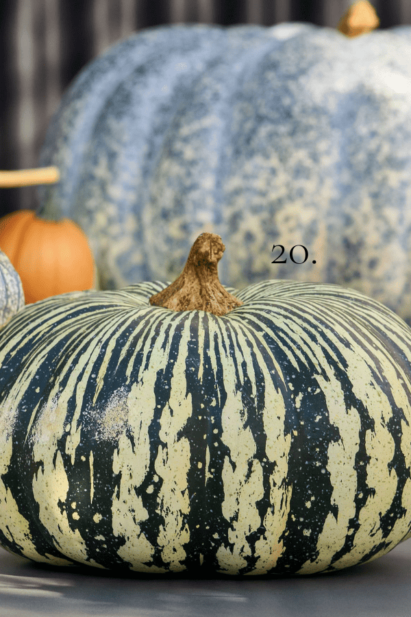 Fall decor Pottery Barn 